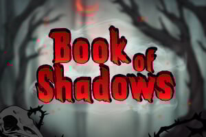 Book Of Shadows online slot from Evolution – play at viggoslots88.com